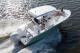 2026 Sea Fox 228 Commander