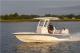 2026 Sea Fox 231 Bay Fox