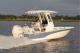 2026 Sea Fox 231 Bay Fox
